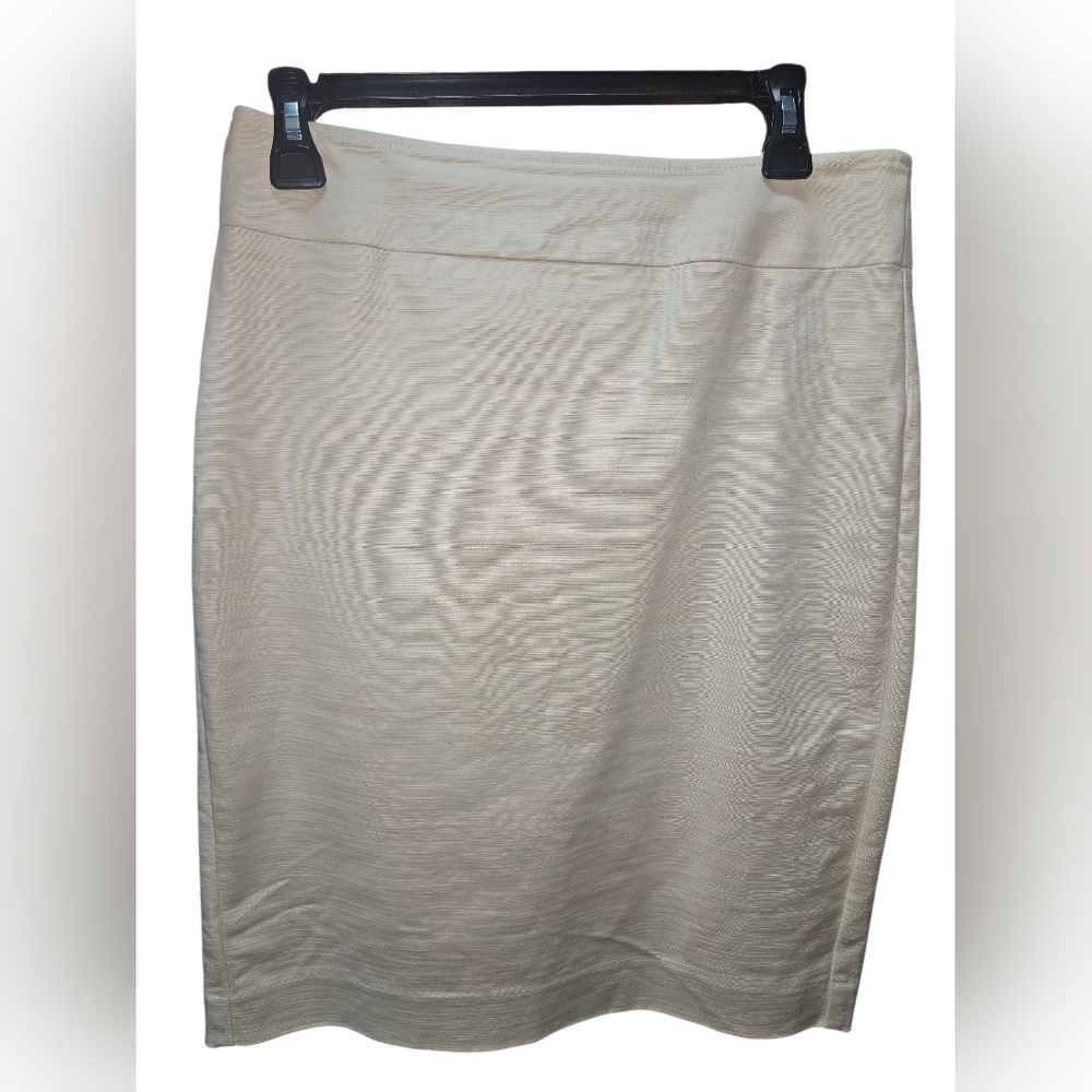 Ann Taylor Elegant Cream Skirt